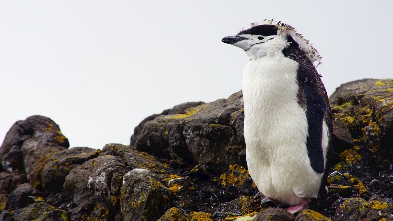 ABB Solarlösungen für den eisigen Kontinent