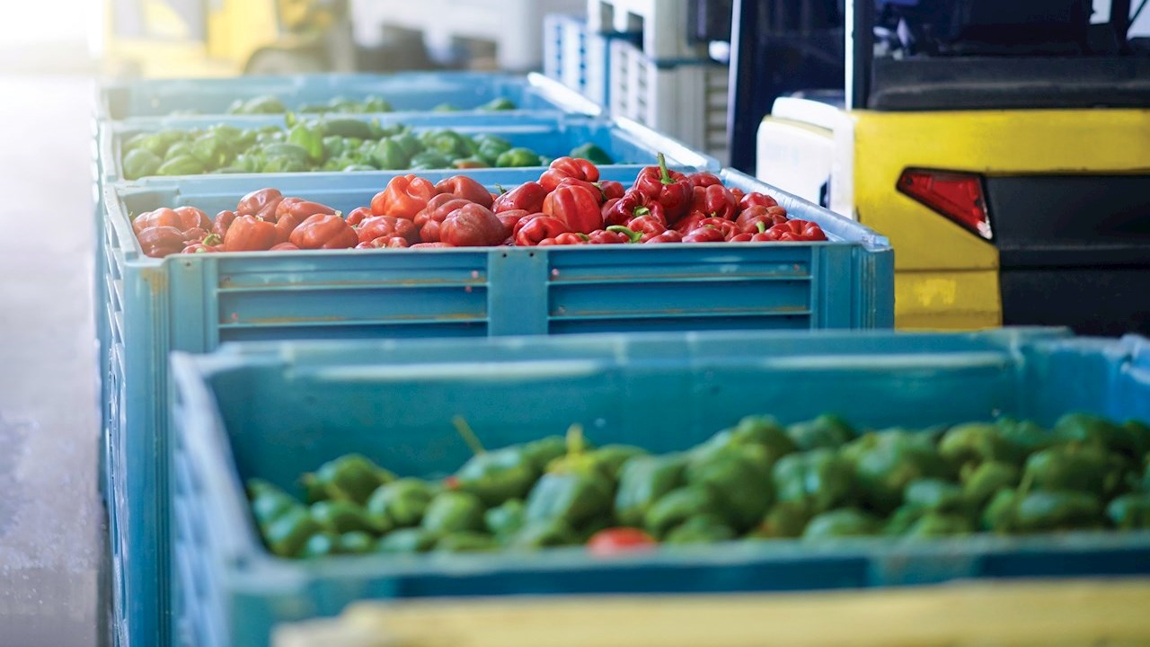 Disipamos la incertidumbre en el sector de alimentación y bebidas