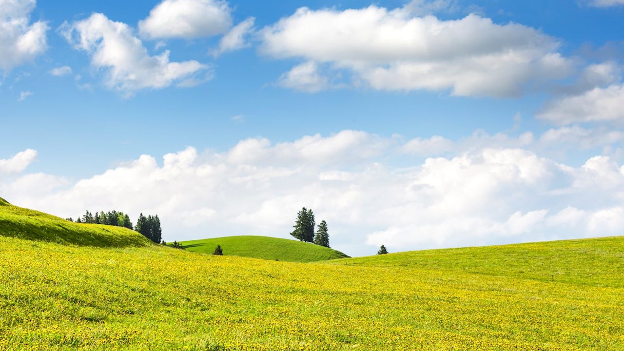 “Tenemos la tecnología y el conocimiento para aportar en toda la cadena de valor del hidrógeno verde”