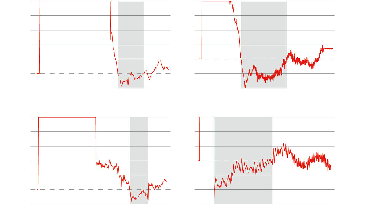 05 Examples of overshoot are depicted (shaded area). In these cases, the transitory values are lower than the final value.