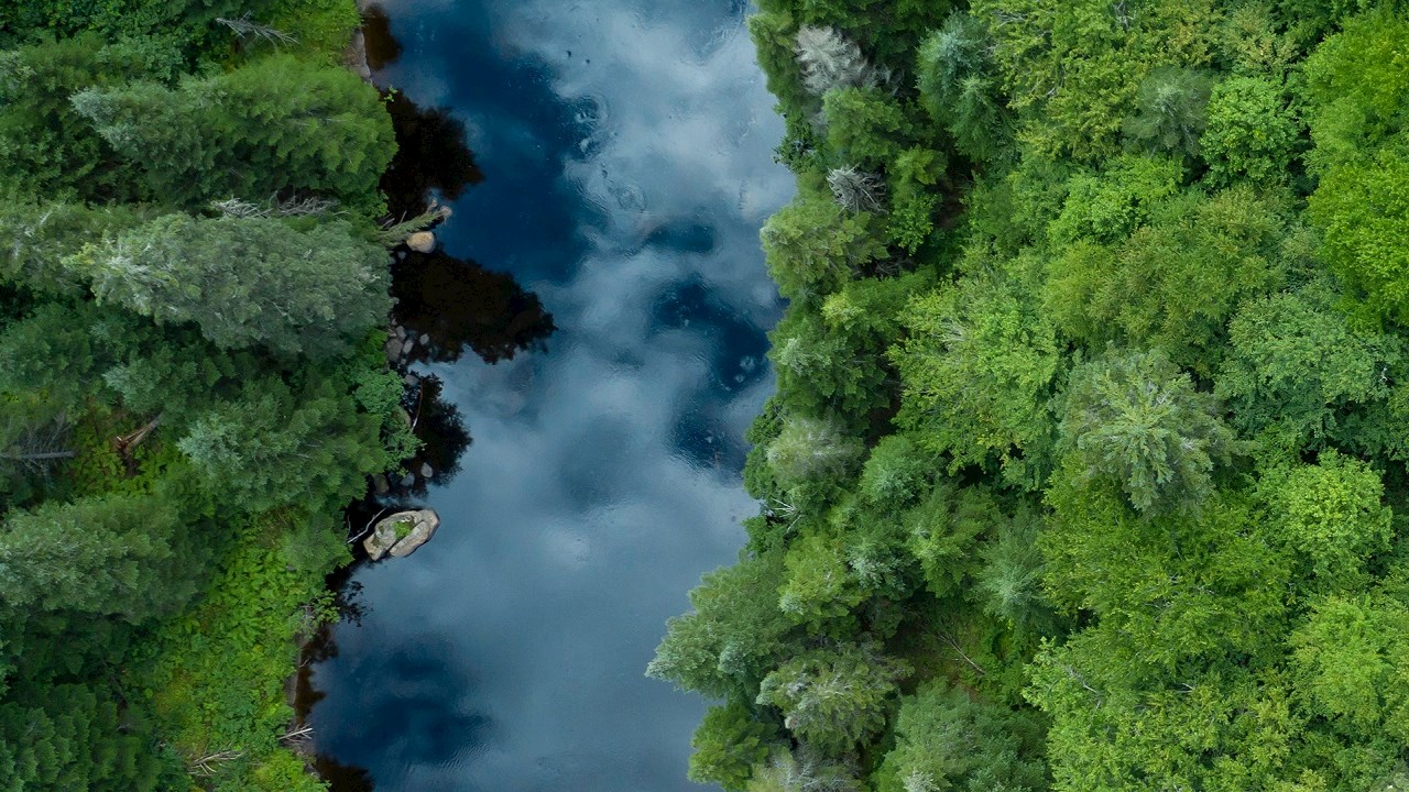 «Wir haben ein Jahrzehnt Zeit, um unsere Emissionen zu halbieren» – Mike Peirce von der Climate Group über die Bedeutung des Weltklimagipfels COP26