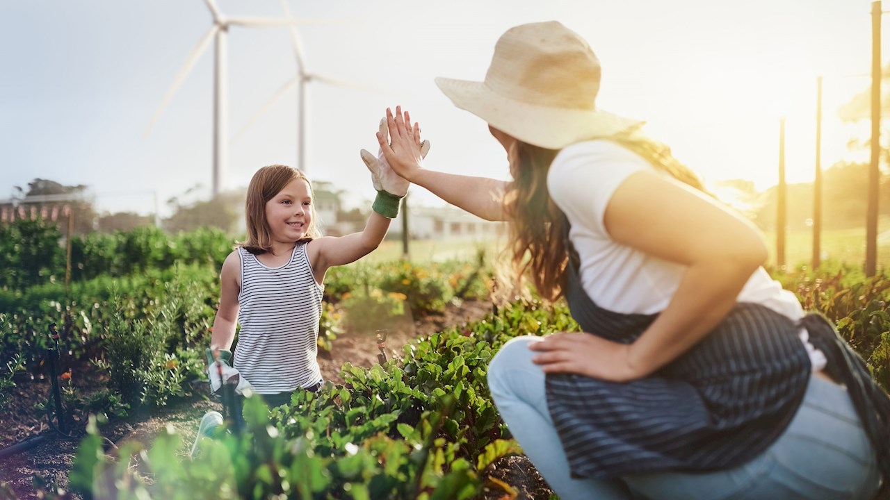 ABB e ADENE Renovam Parceria para Formação em Fotovoltaicos e Mobilidade