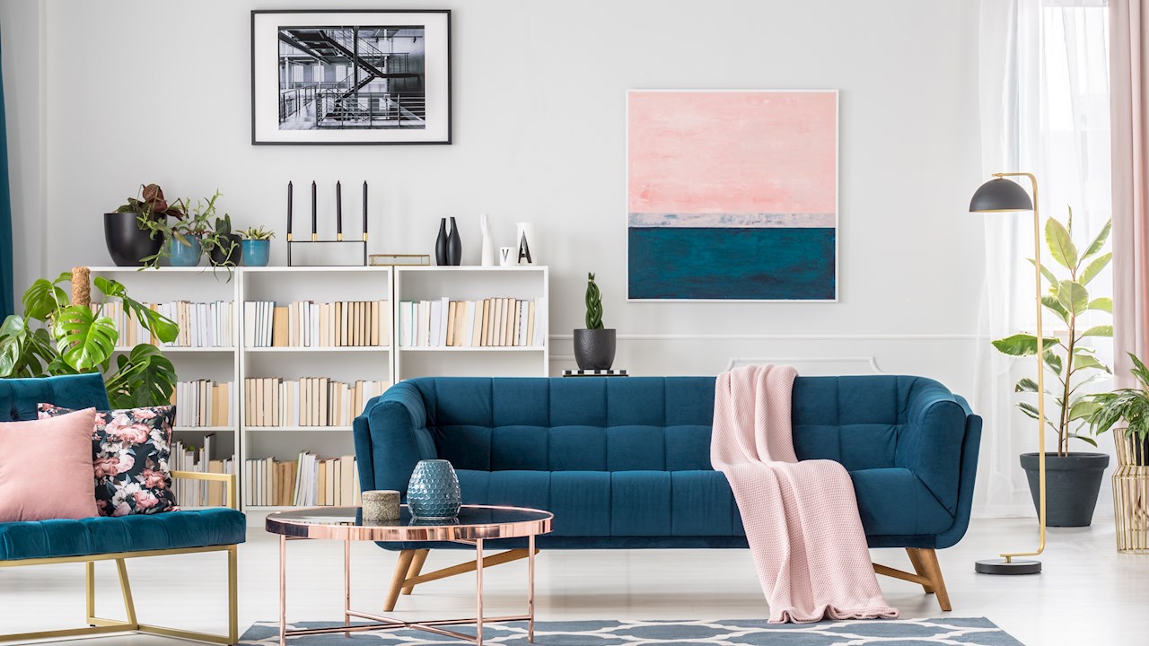 Sky Niessen conecta los hogares con la
naturaleza 