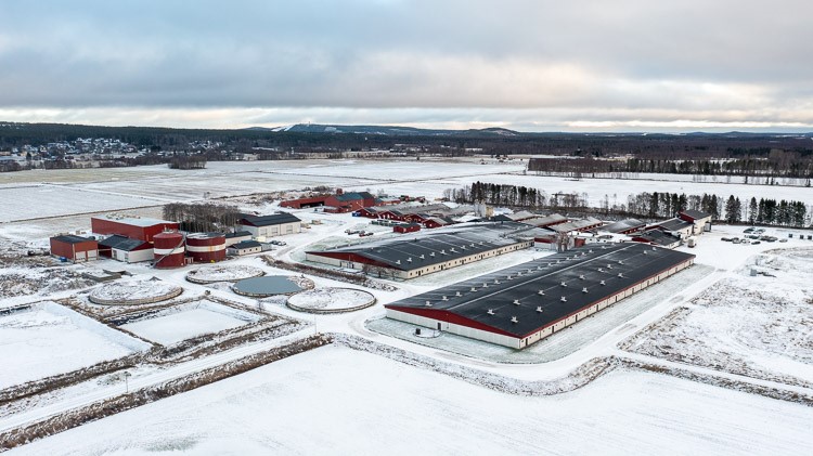 Alviksgården outside Luleå is self-sufficient in both electricity and heat.