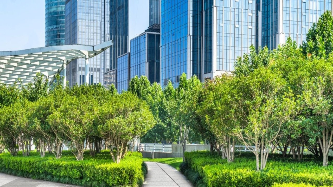 Edificios equilibrados