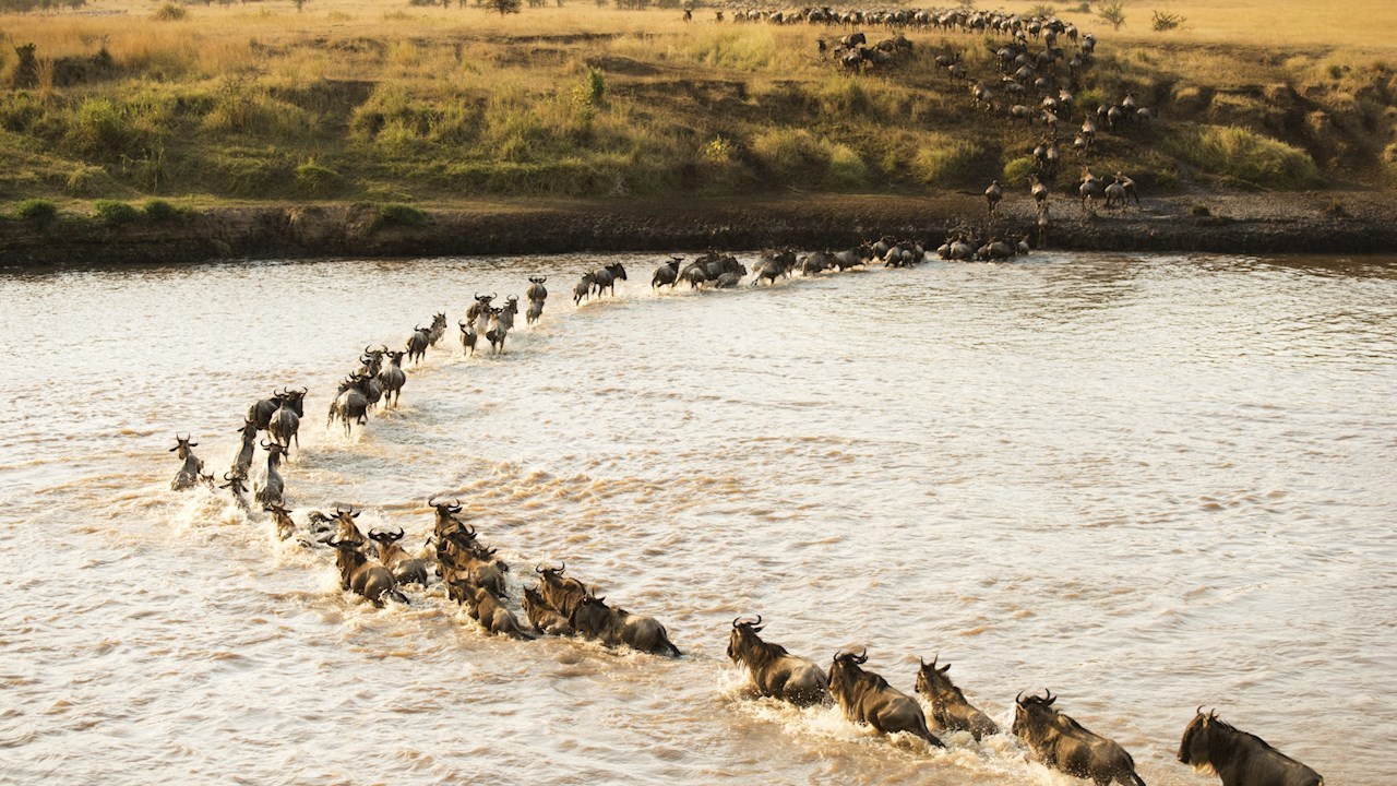 Cómo pasar a un futuro sin SF6 antes de que entren en vigor las normativas sobre gases fluorados 