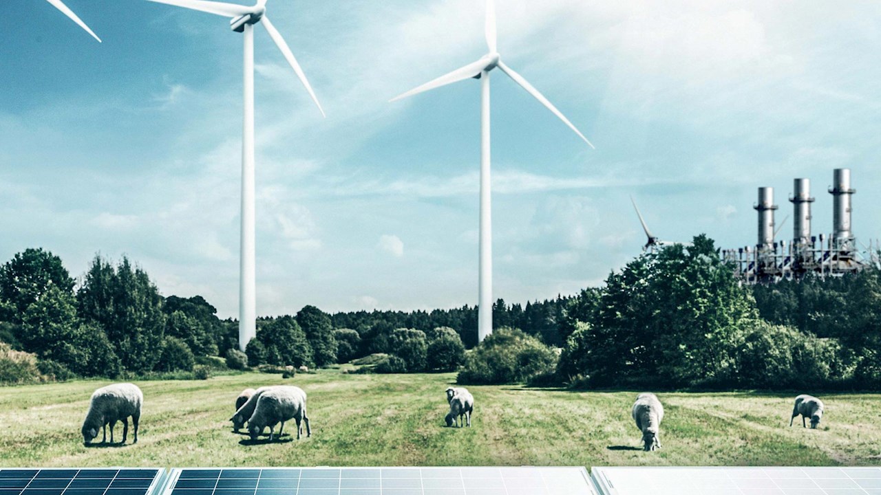 Verdens første dynamiske, grønne Power-to-Ammonia-anlæg tager form