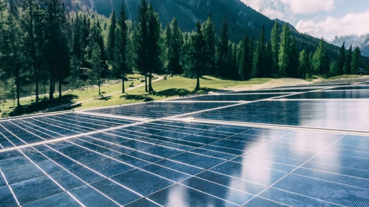 Eficiência Energética na Distribuição