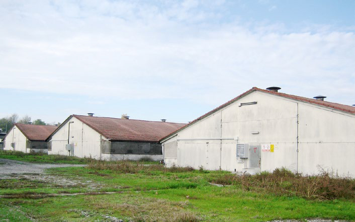 A farm in the Lombardy region is breeding 10,000 pigs per annum using three warehouses.