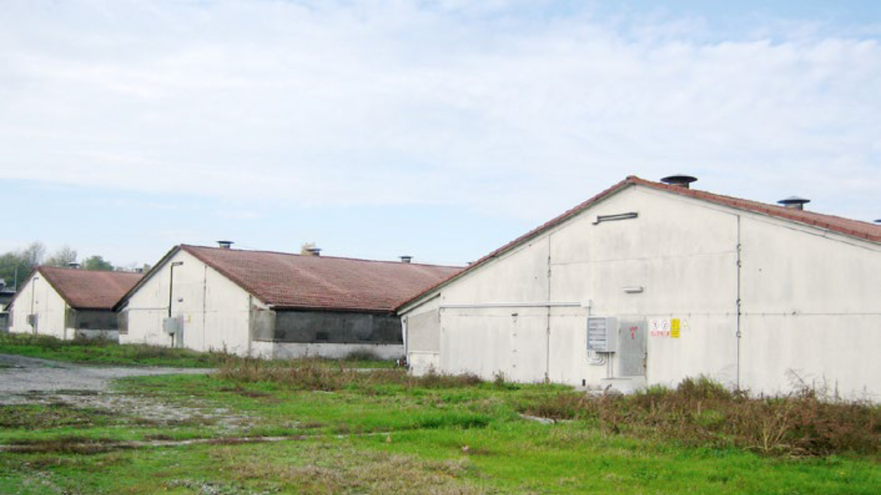 ABB drives help regulate temperature in pig farms