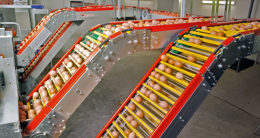 Stable material flow in poultry farming (Source: Big Dutchman - China)