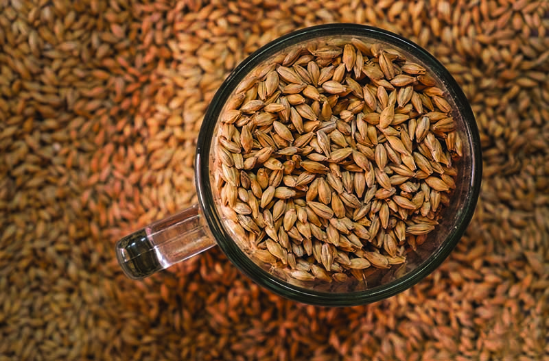 Bairds Malt - Bairds Malt has increased productivity and safety by installing a new germination machine controlled by an ABB variable speed drive.