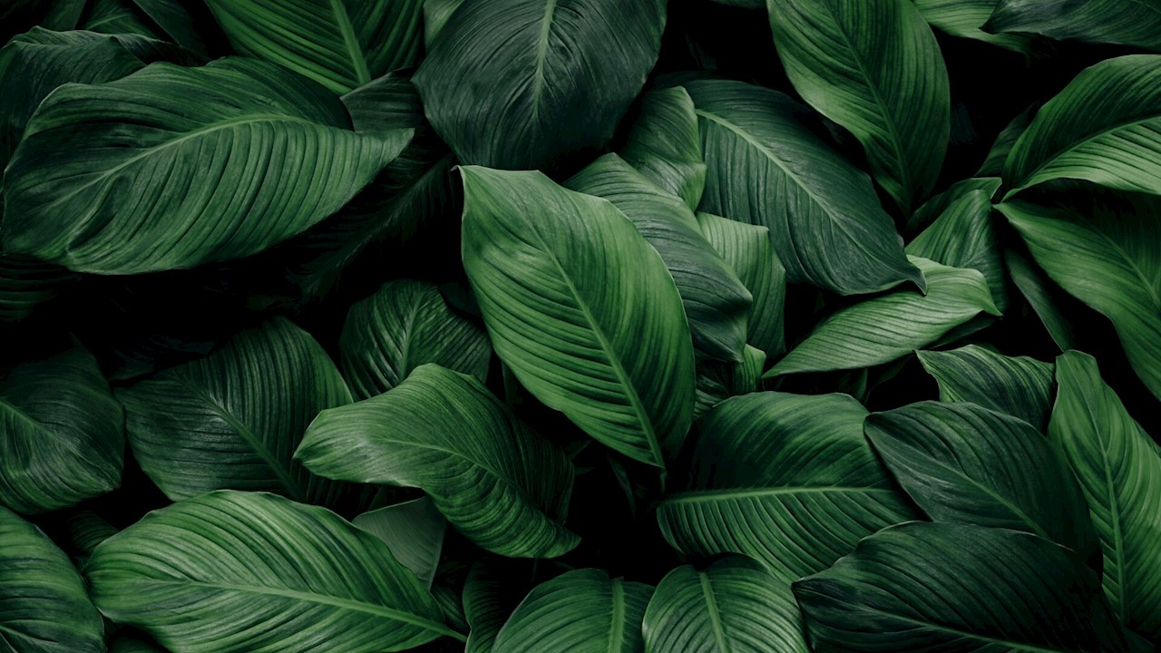 ABBとアルファ・ラバル、「Energy Efficiency Movementサミット」を6月24日に日本初開催