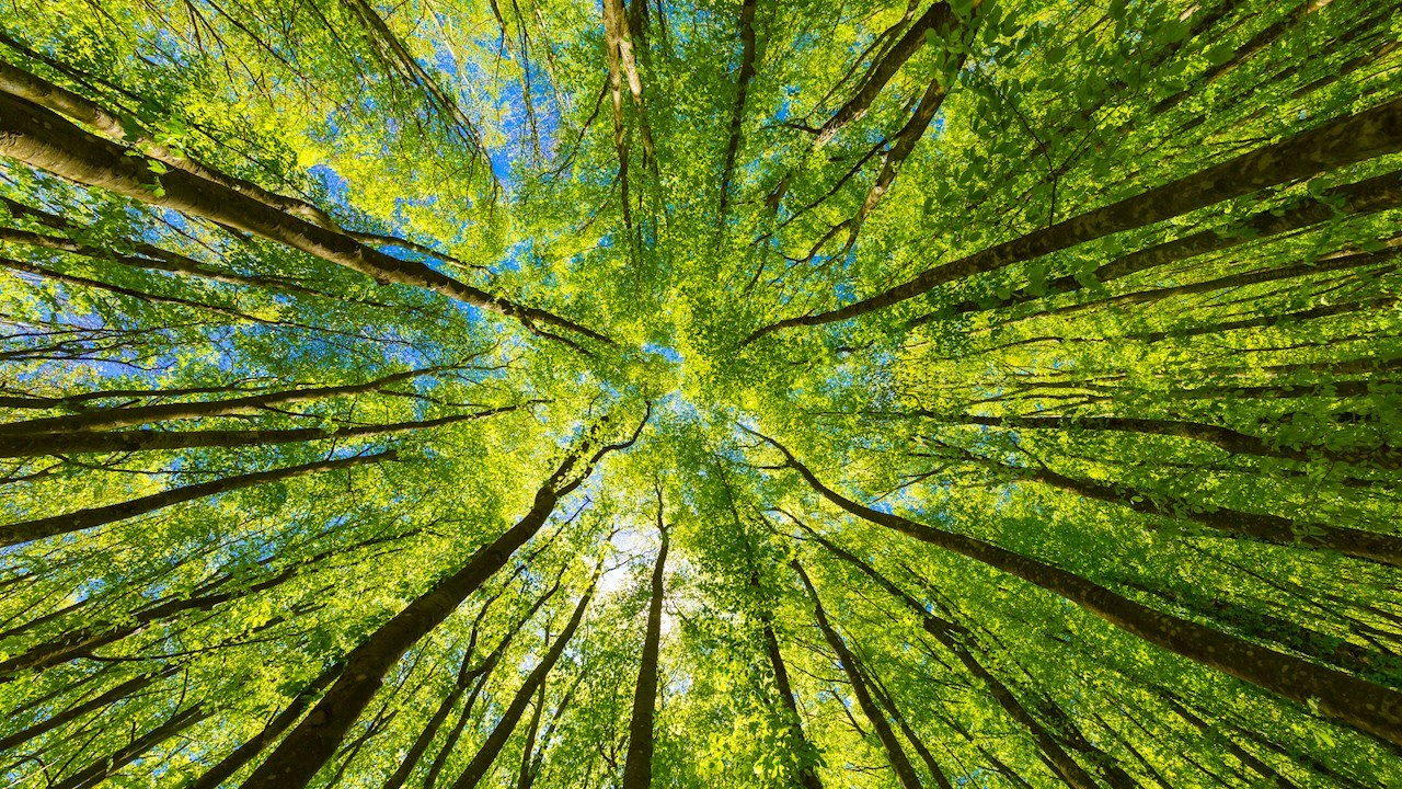 Le groupe ABB figure parmi les entreprises les plus durables au monde selon TIME Magazine