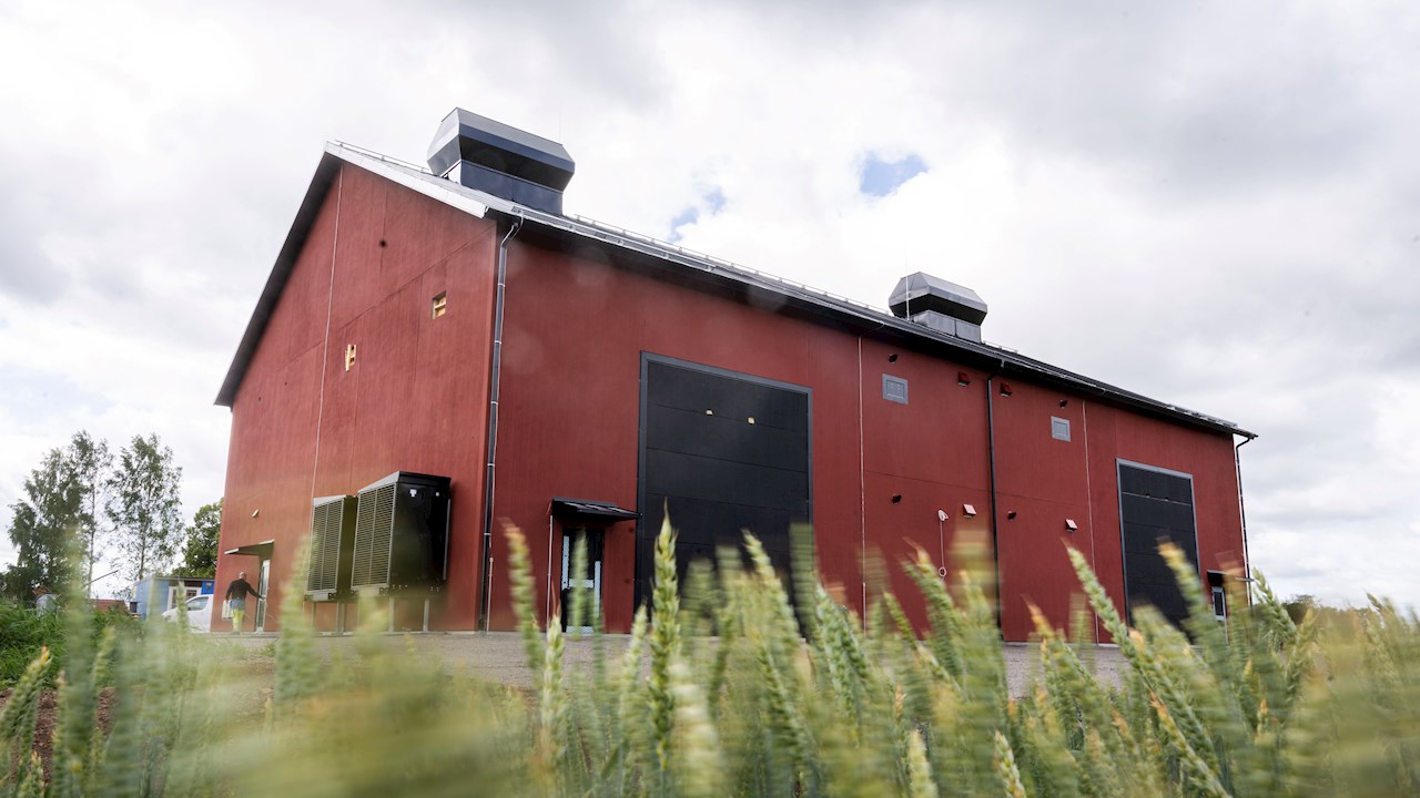 Small company realizes big visions