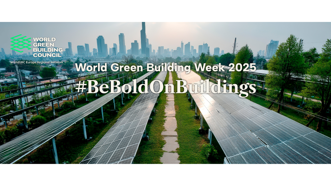 The View from Two Grids: Why Electrification Needs Local Intelligence to Go Global