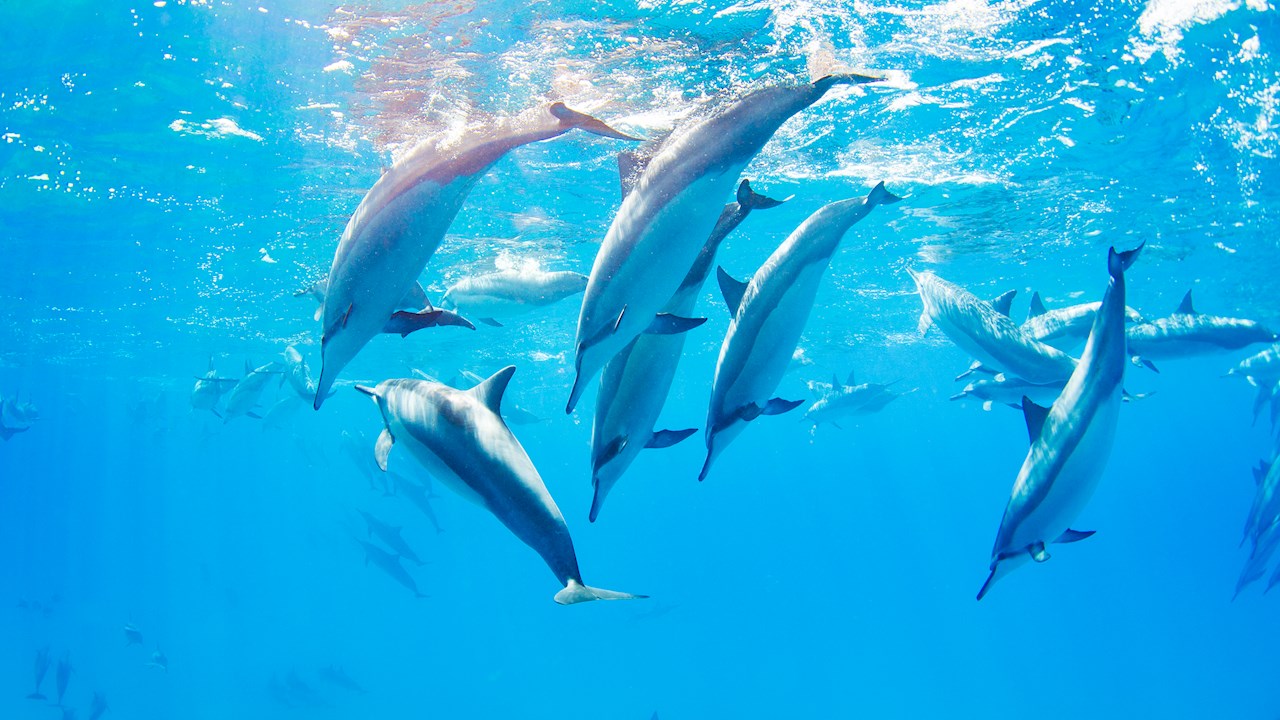 Diving deeper into underwater noise 