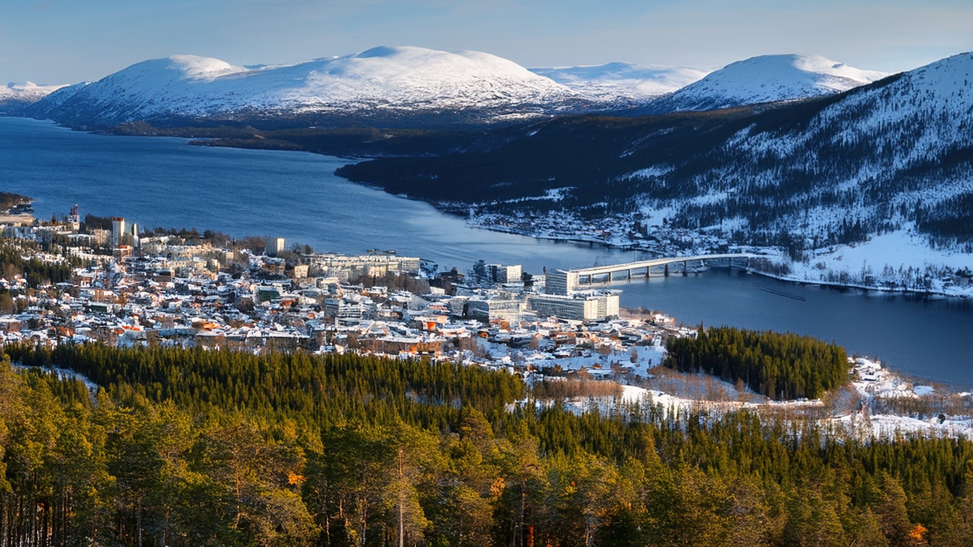 Klassiskt kabelskåp i en ny kostym