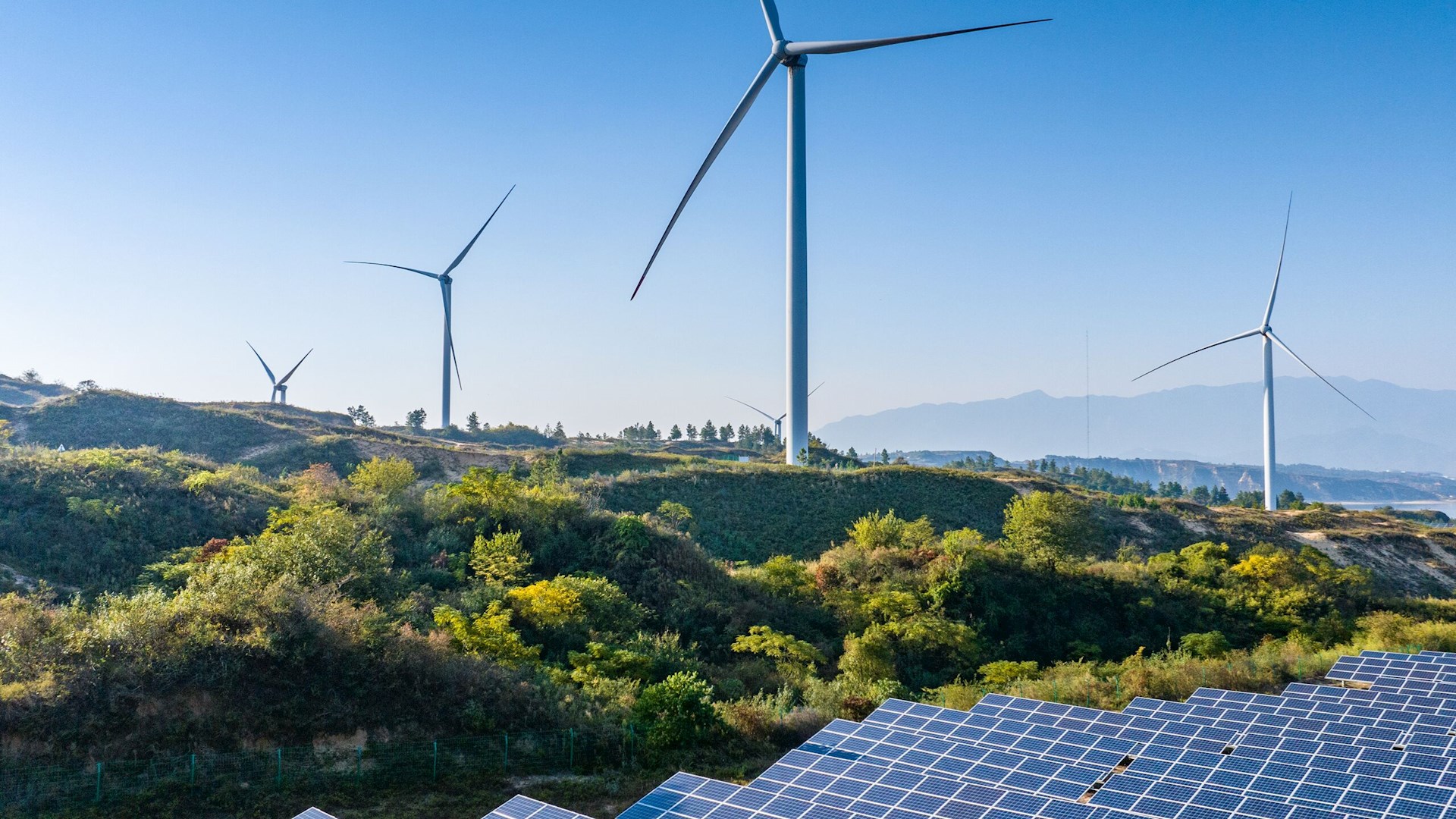 ABB en el Día Mundial del Medio Ambiente: avances y logros hacia la sostenibilidad